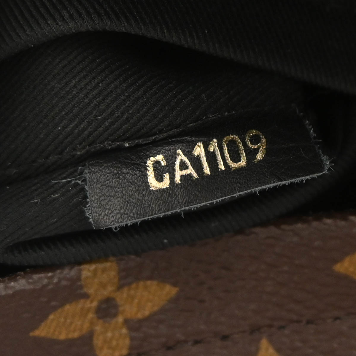 Louis Vuitton Palm Springs Mini Backpack M44873