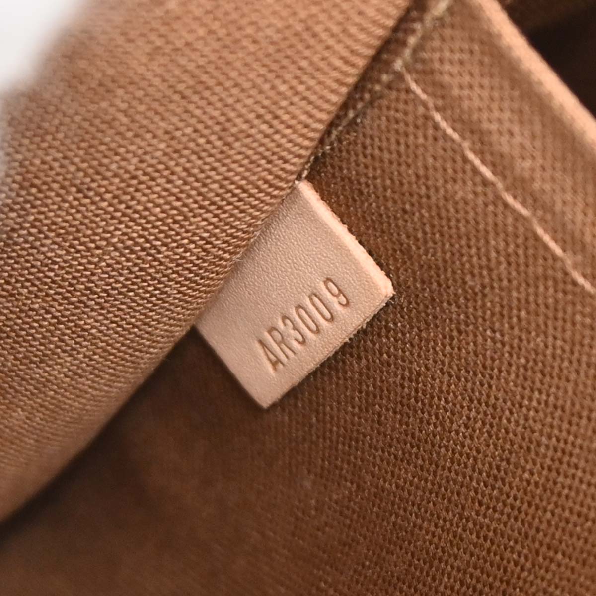 Louis Vuitton 2009 Monogram Thames PM Hobo Handbag M56384