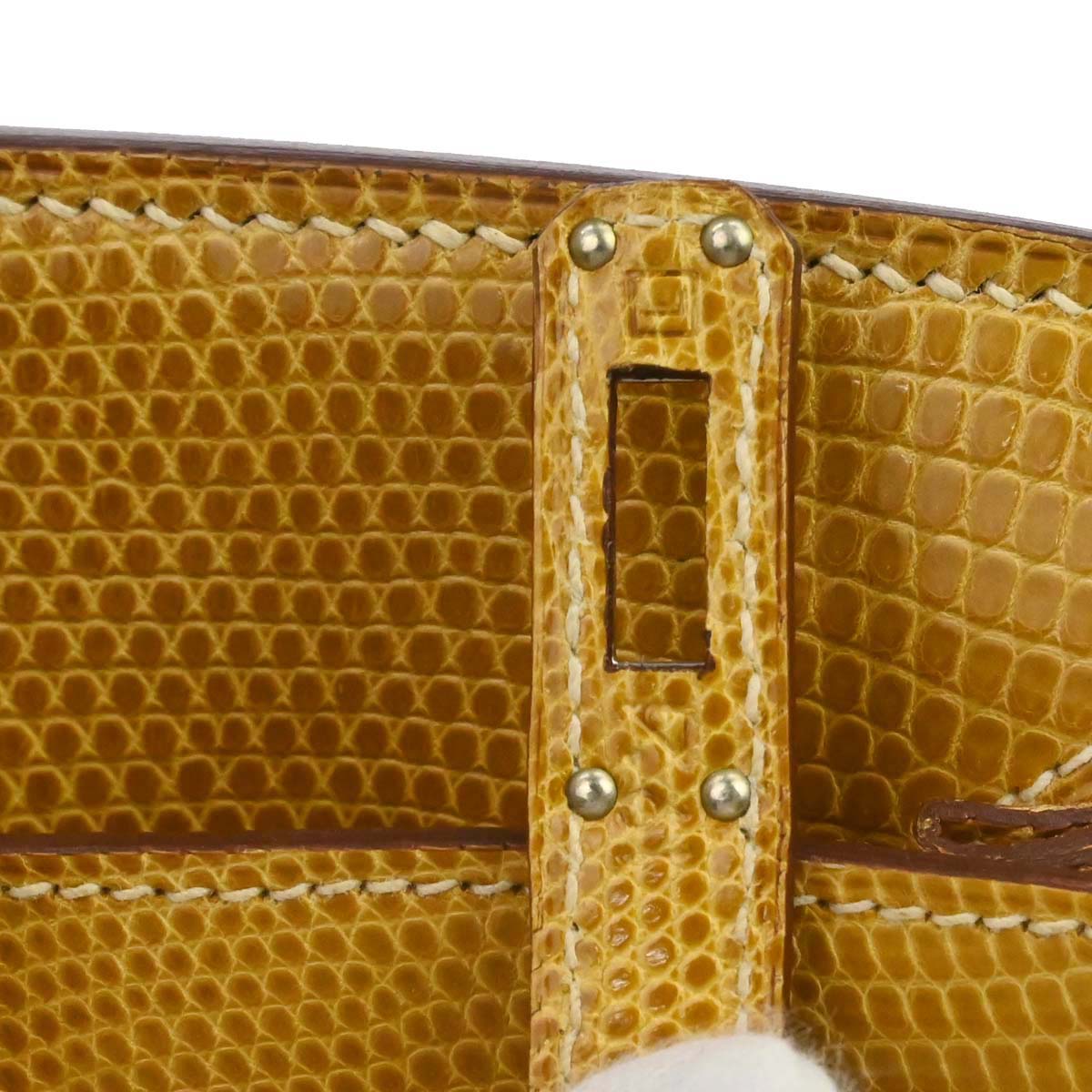 Hermes * Natural Sable Lizard Birkin 25 Handbag