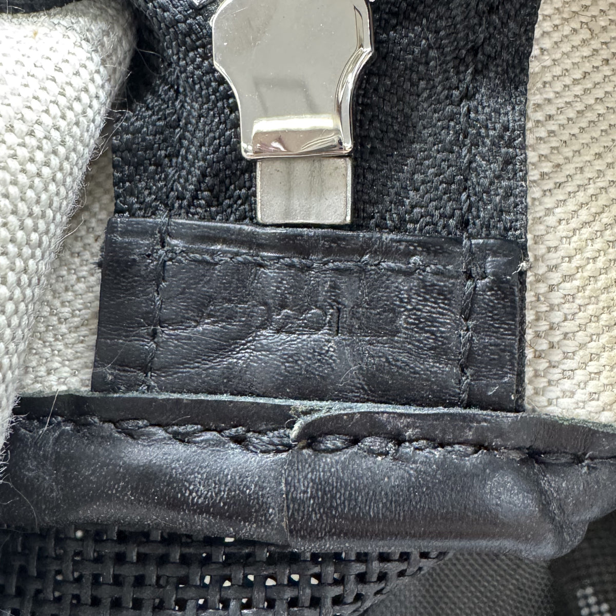 Goyard Black Voltigeur MM Pet Carrier Handbag