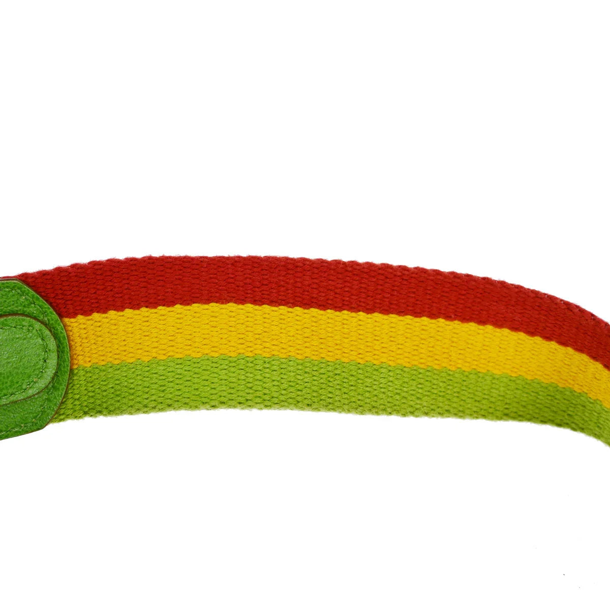 Christian Dior 2004 Rasta Trotter Saddle Handbag