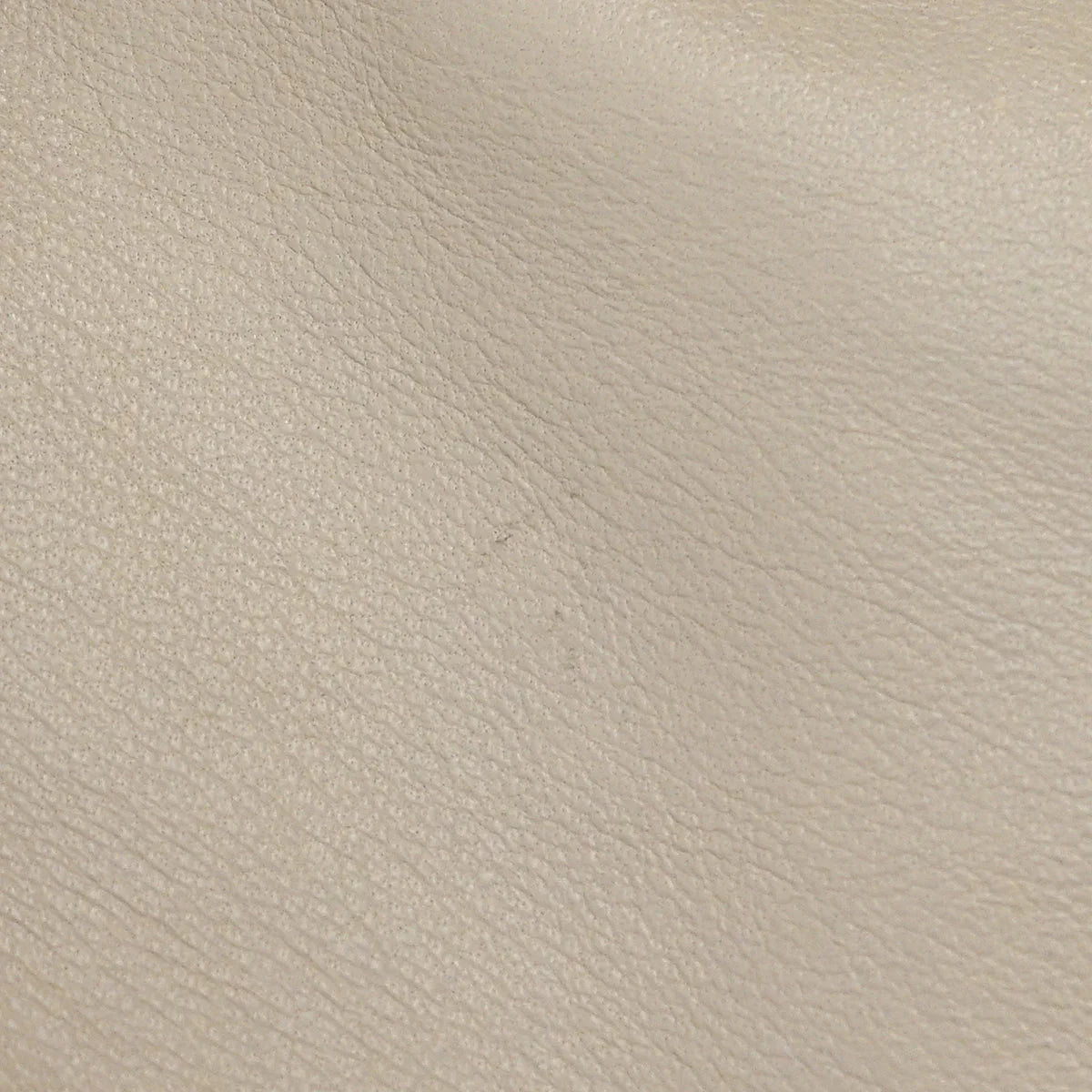 Loewe Lambskin Coat Beige #40