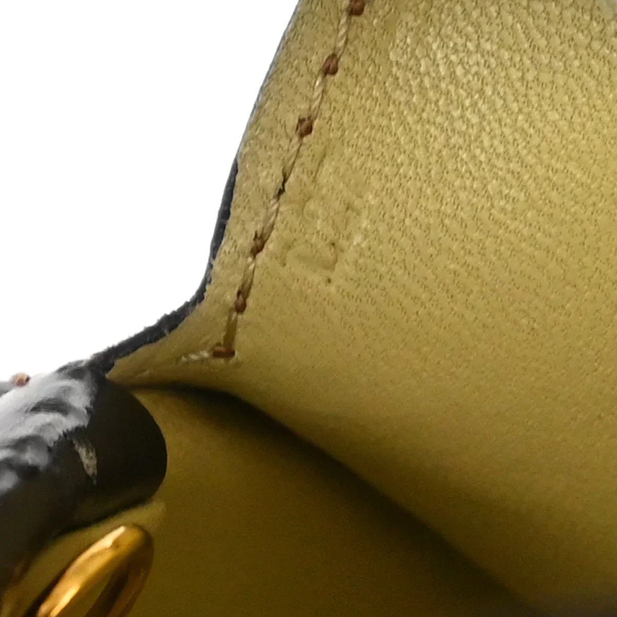 Loewe Leopard Print Oval Handbag