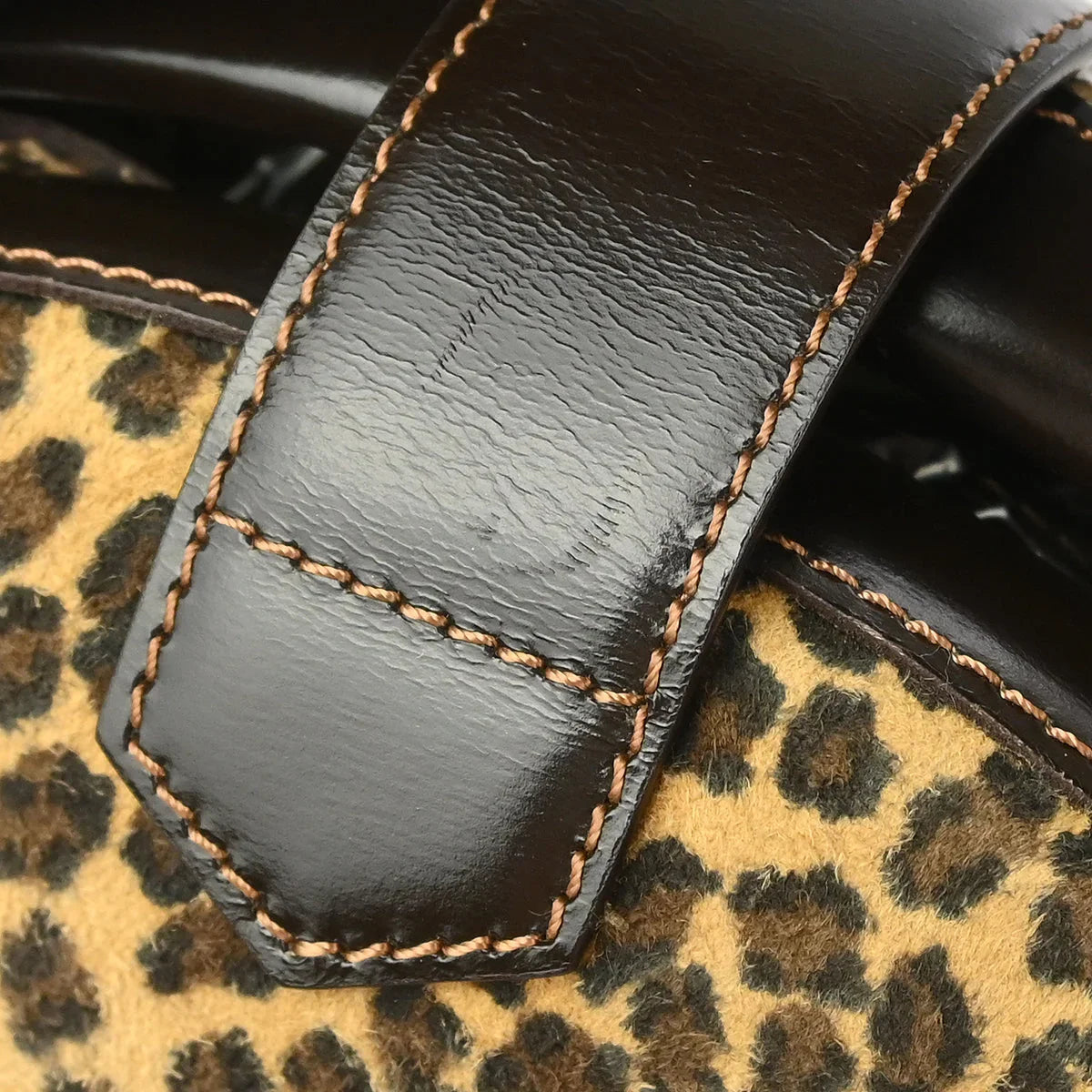 Loewe Leopard Print Oval Handbag