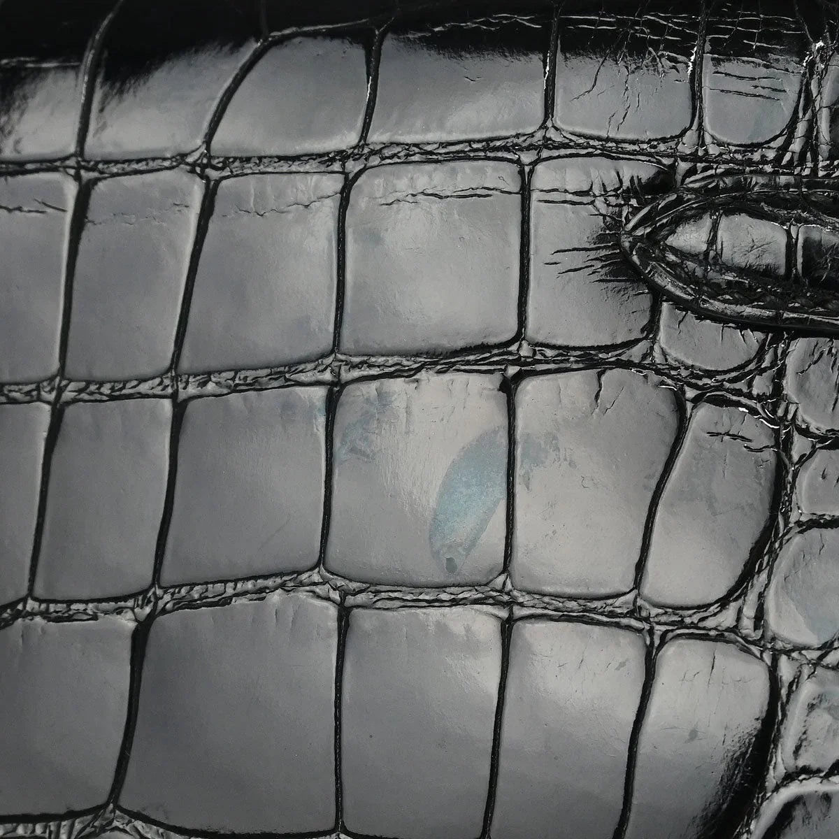 Hermes * Black Alligator Kelly 25 Sellier 2way Shoulder Handbag