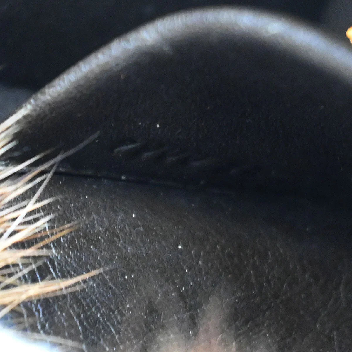 Louis Vuitton 2004 * Monogram Mini Papillon Handbag M92703