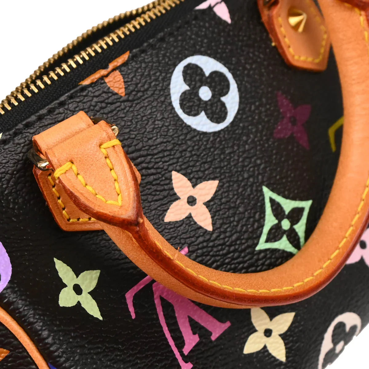 Louis Vuitton Multicolor Mini Speedy Handbag M92644