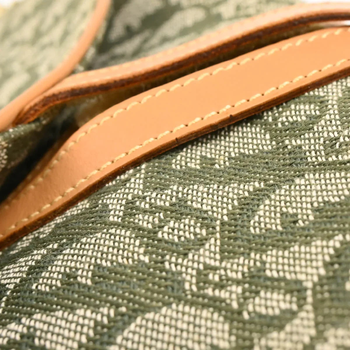 Christian Dior Green Trotter Saddle Handbag