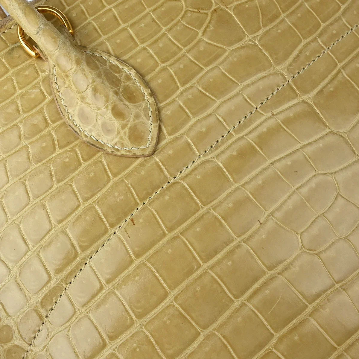 Hermes * Poussiere Porosus Bolide 35 Handbag