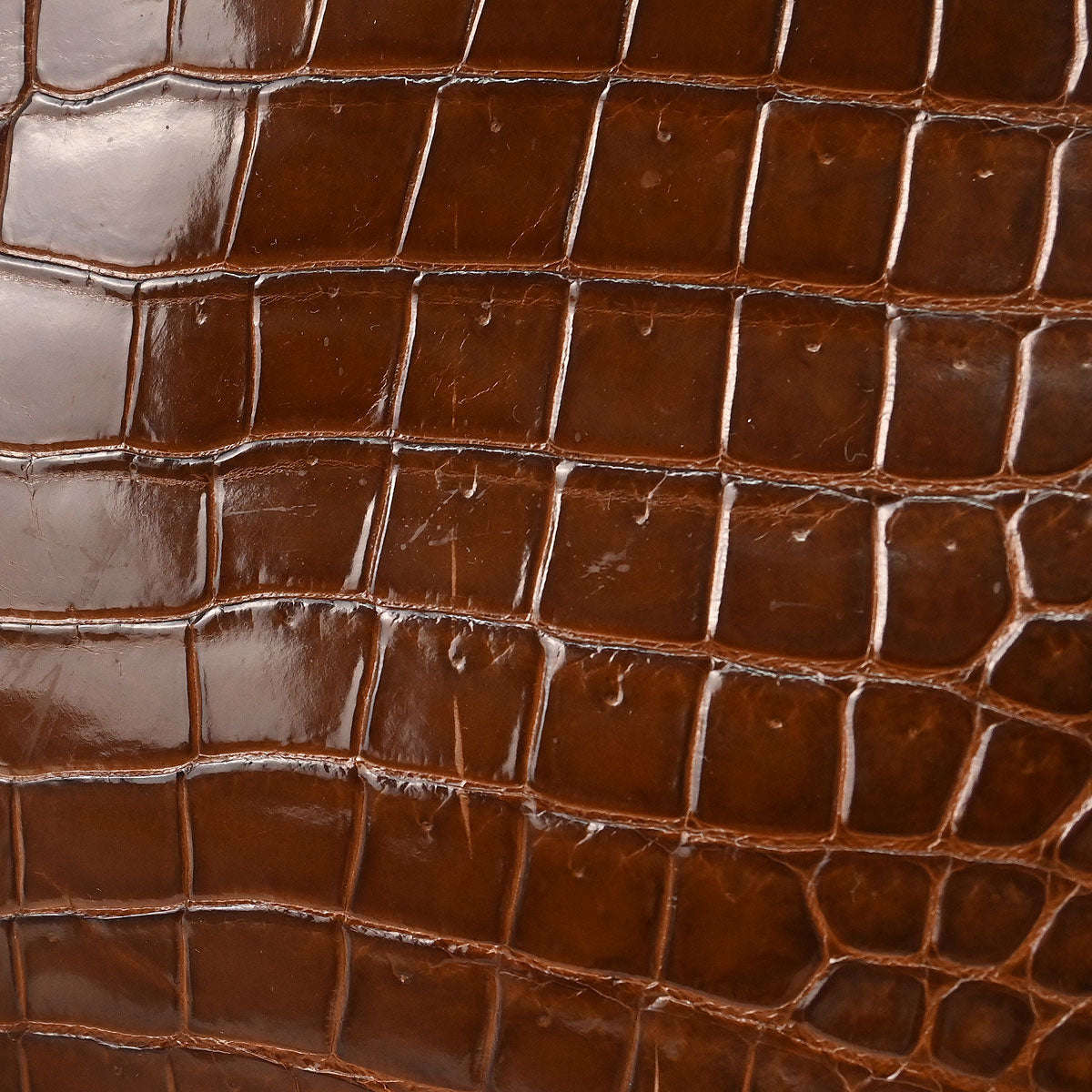 Hermes * 2009 Miel Porosus Birkin 30 Handbag
