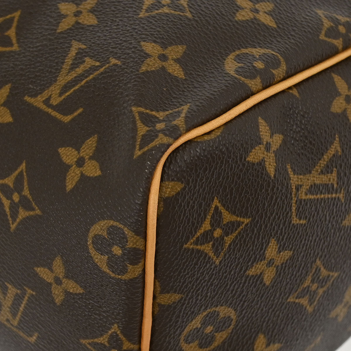 Louis Vuitton Monogram Speedy 25 Handbag M41528