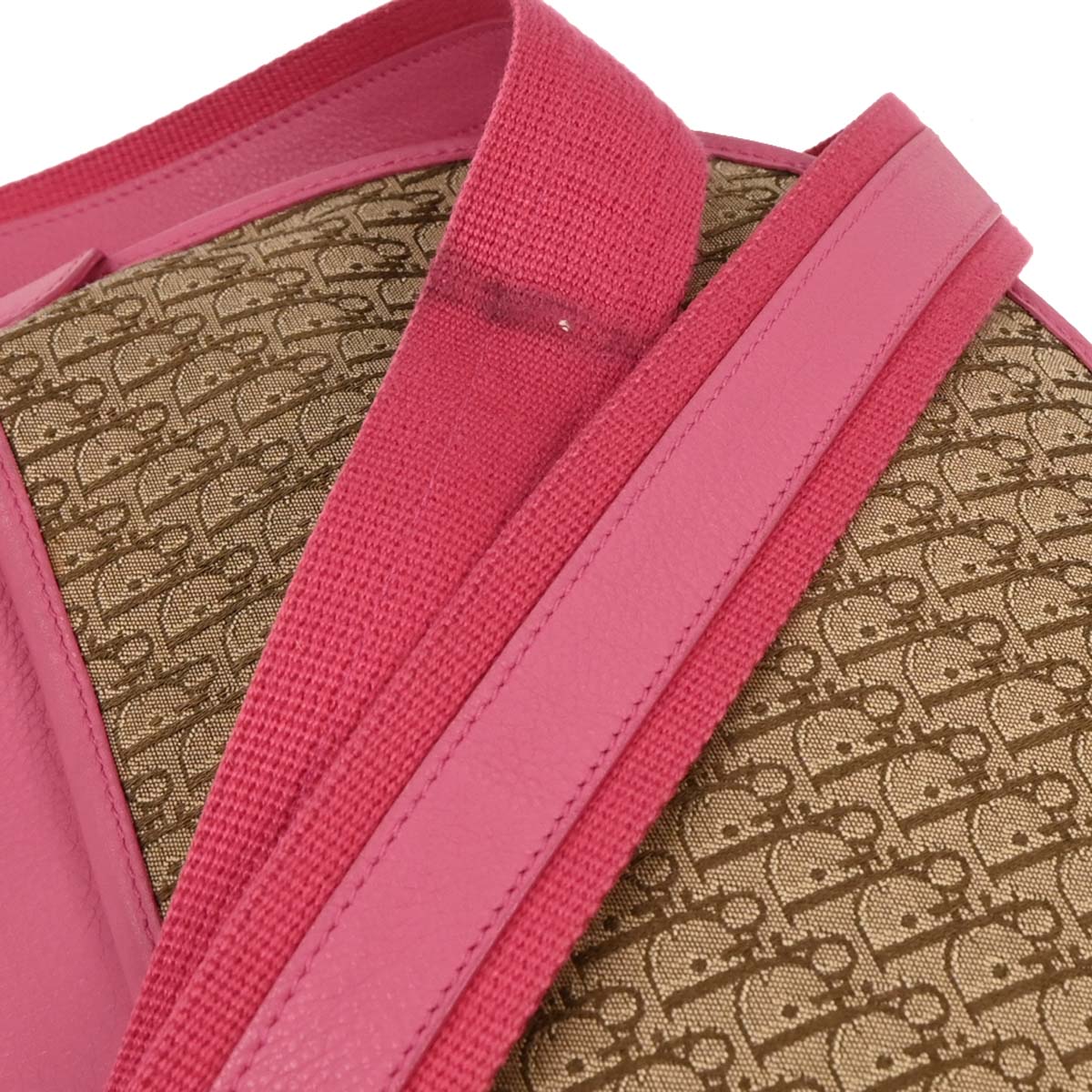 Christian Dior Beige Trotter Shoulder Bag