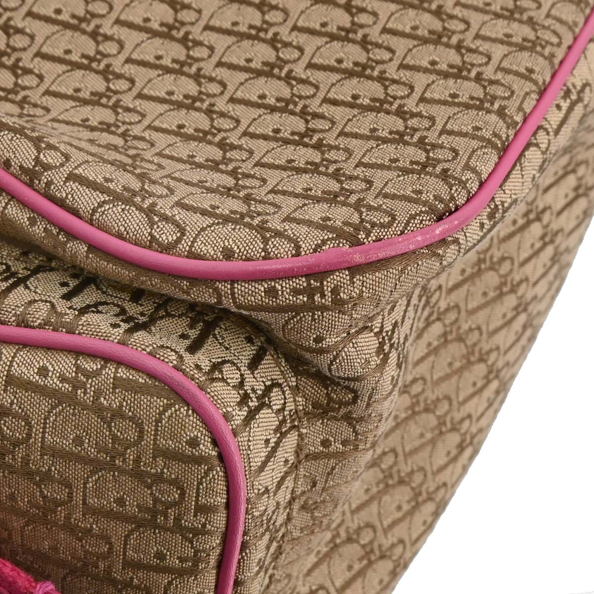 Christian Dior Beige Trotter Handbag