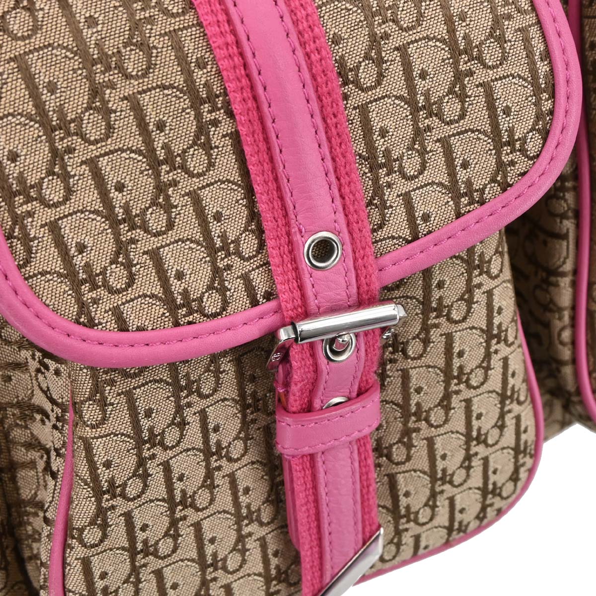 Christian Dior Beige Trotter Handbag