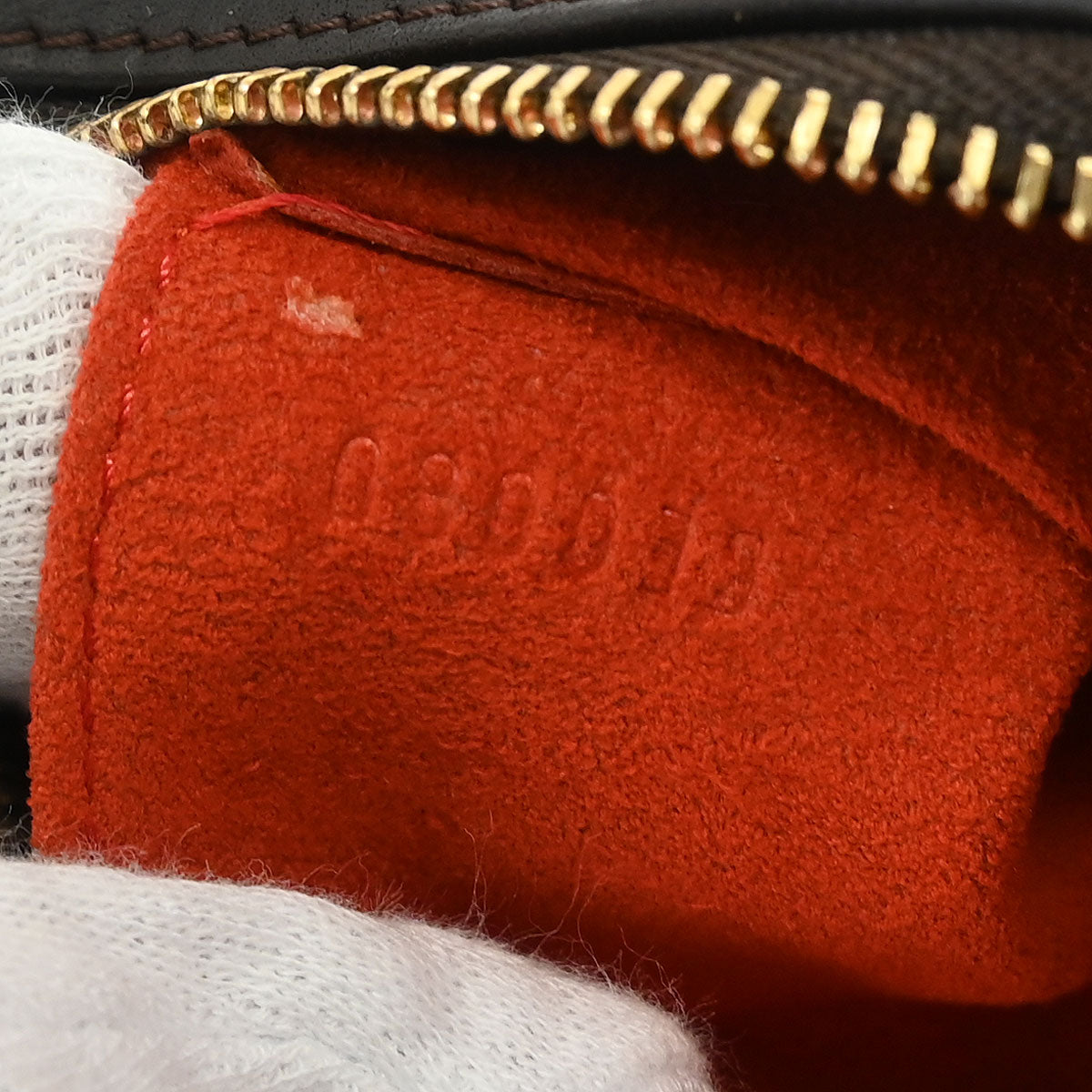 Louis Vuitton * Damier Sauvage Tiger Handbag M92132