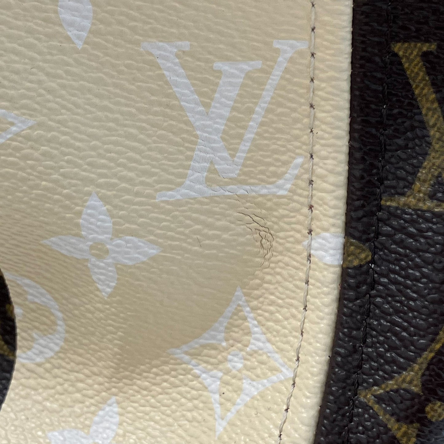 Louis Vuitton 2011 Neverfull TGM Monogram Rayures M40562
