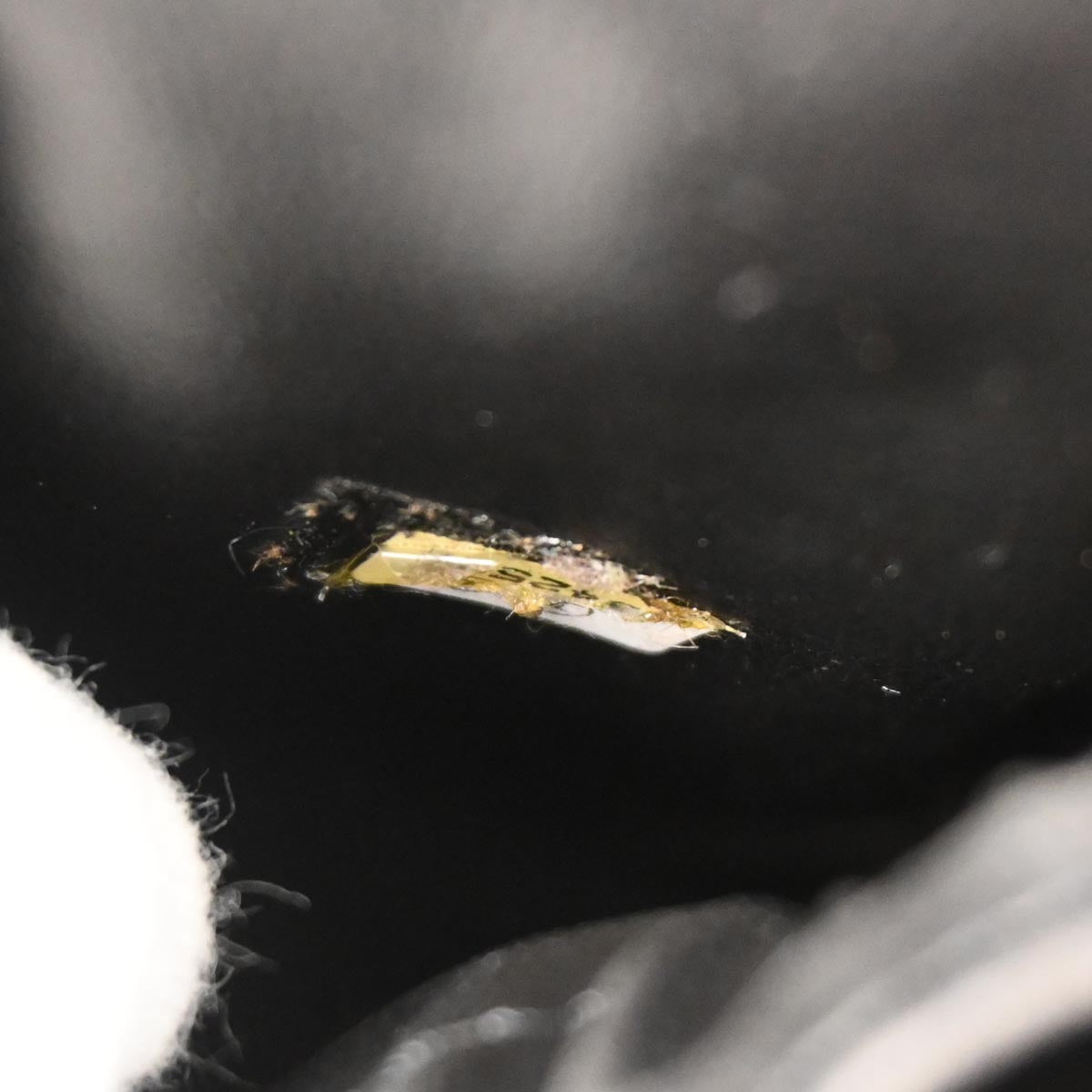 Chanel 2000-2002 Black Caviar Skin Timeless Vanity Handbag