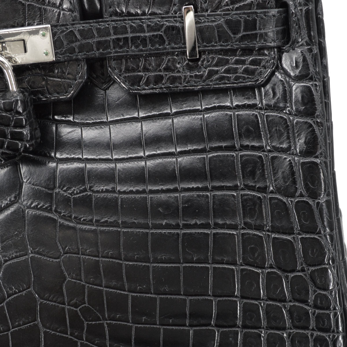Hermes * Black Matt Niloticus Birkin 25 Handbag