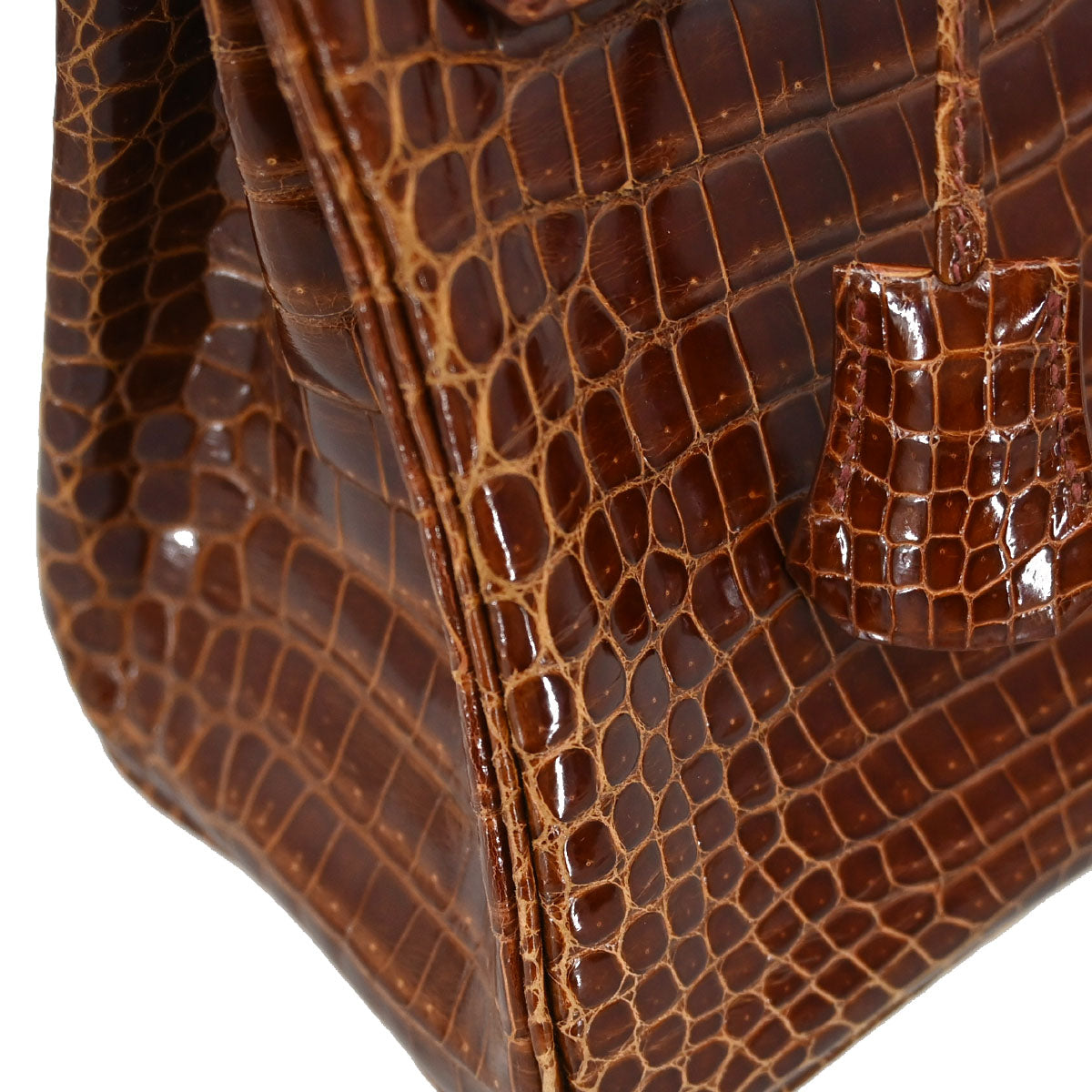 Hermes * Miel Porosus Birkin 25 Handbag
