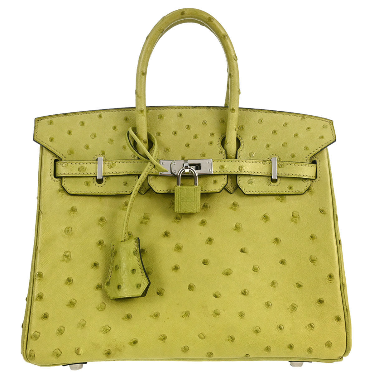 Hermes * Anis Green Ostrich Birkin 25 Handbag