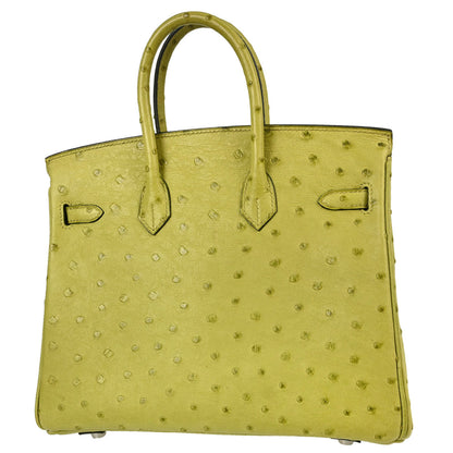 Hermes * Anis Green Ostrich Birkin 25 Handbag