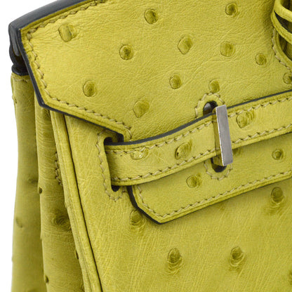 Hermes * Anis Green Ostrich Birkin 25 Handbag