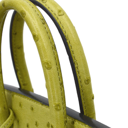 Hermes * Anis Green Ostrich Birkin 25 Handbag