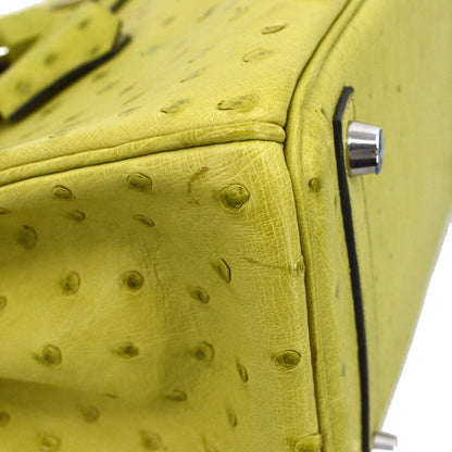 Hermes * Anis Green Ostrich Birkin 25 Handbag
