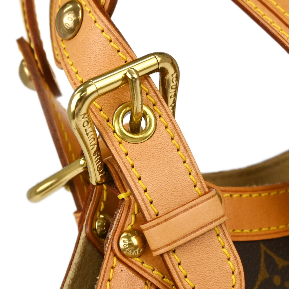 Louis Vuitton Monogram Theda PM Handbag M92399