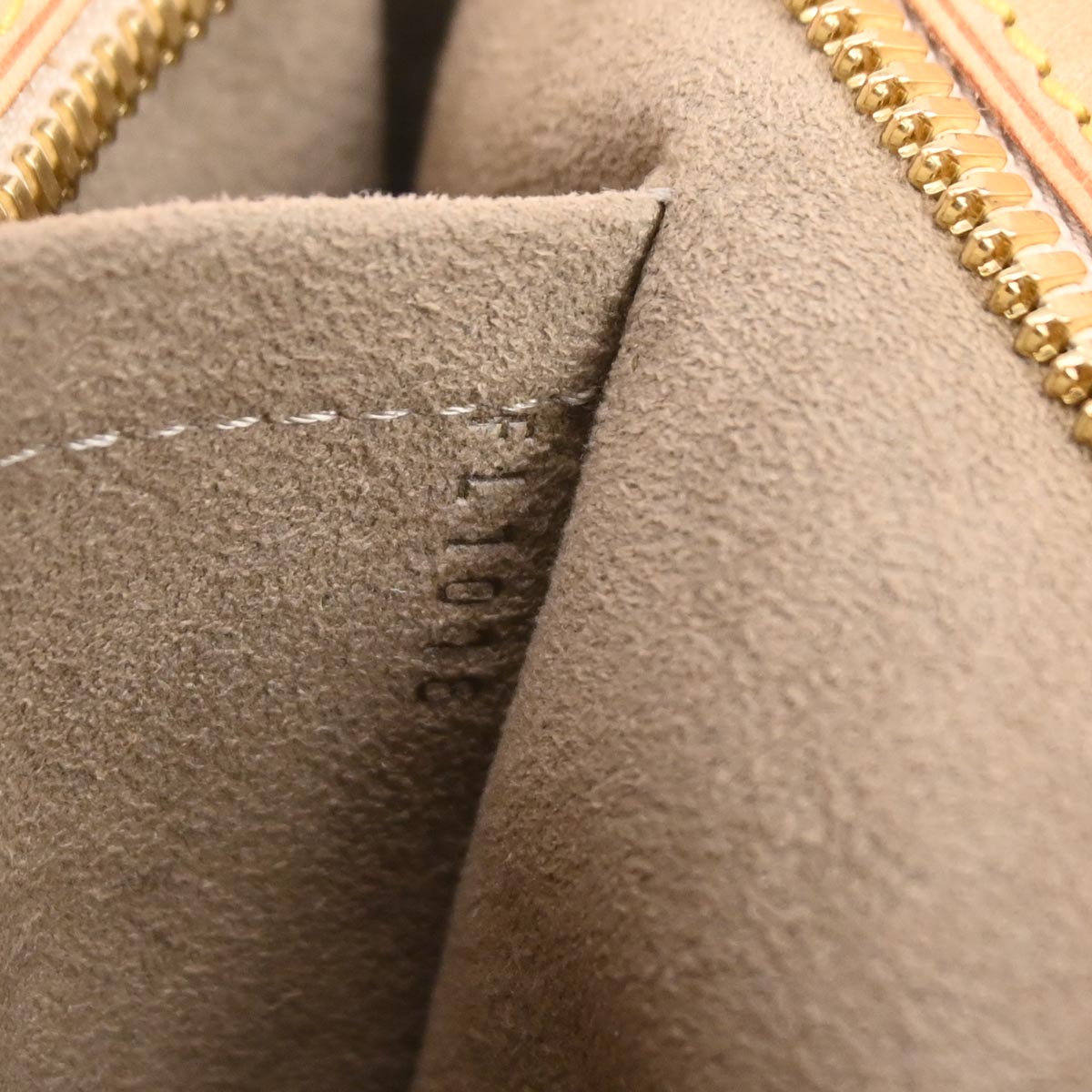 Louis Vuitton Black Multicolor Lodge PM Shoulder Bag M40054