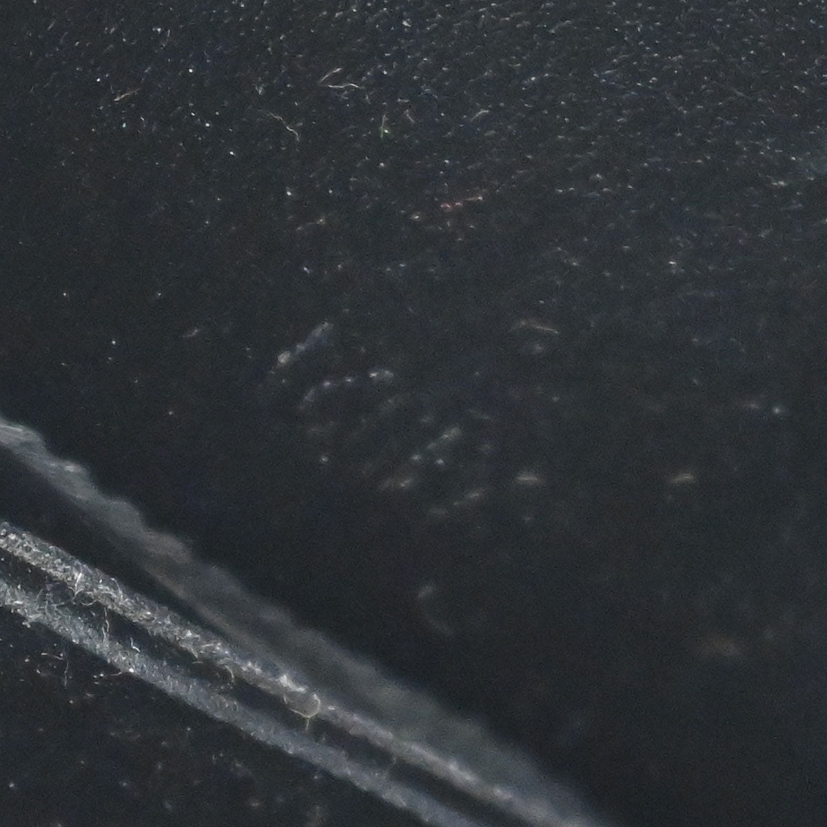 Louis Vuitton 2001 Black Vernis Flower Lexington Handbag M92245