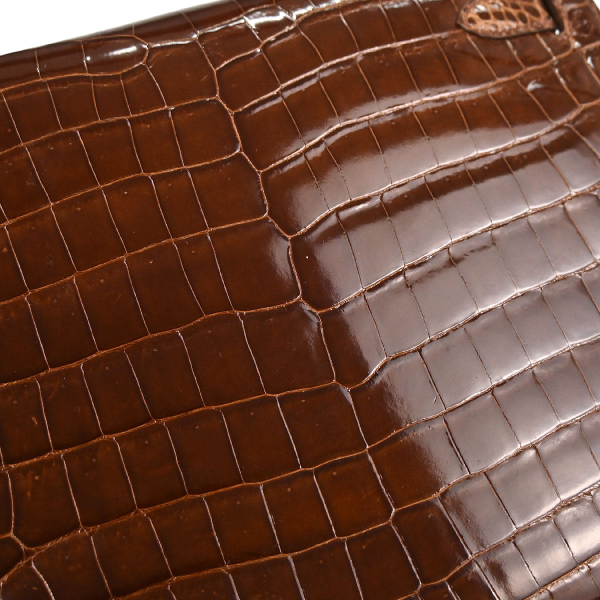 Hermes * Miel Niloticus Kelly 28 Sellier 2way Shoulder Handbag