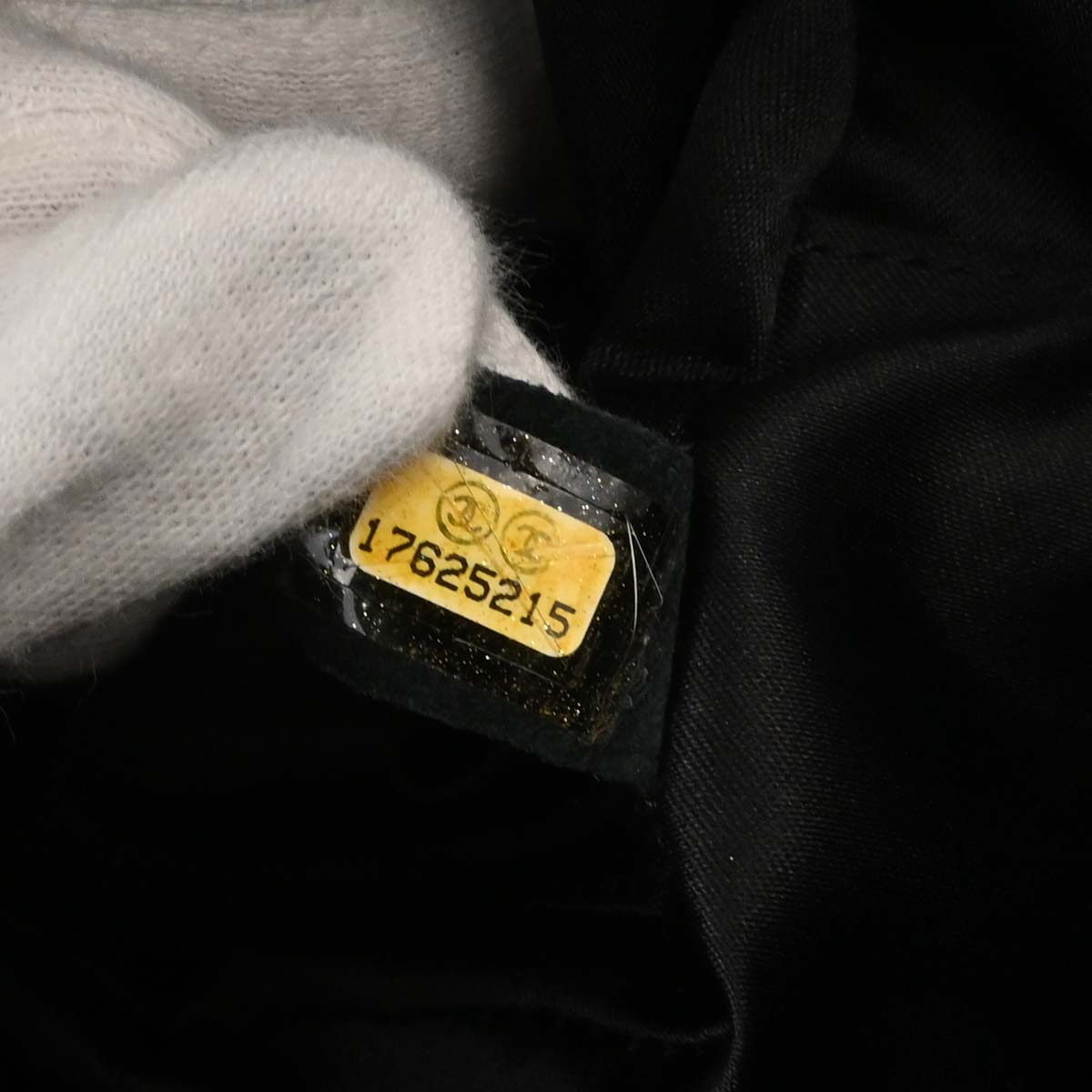 Chanel Black Caviar Skin Camera Bag Large
