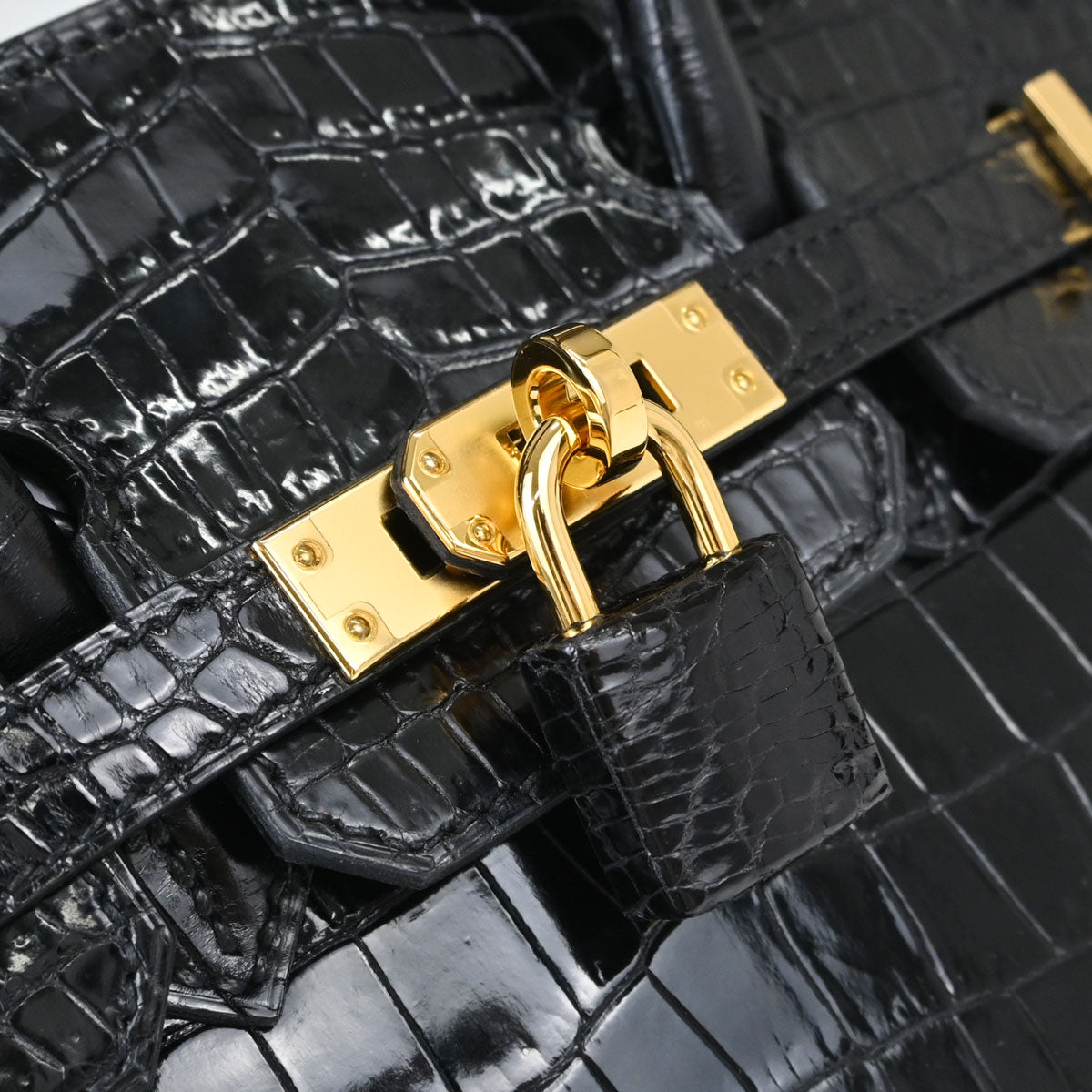 Hermes * Black Porosus Birkin 25 Handbag