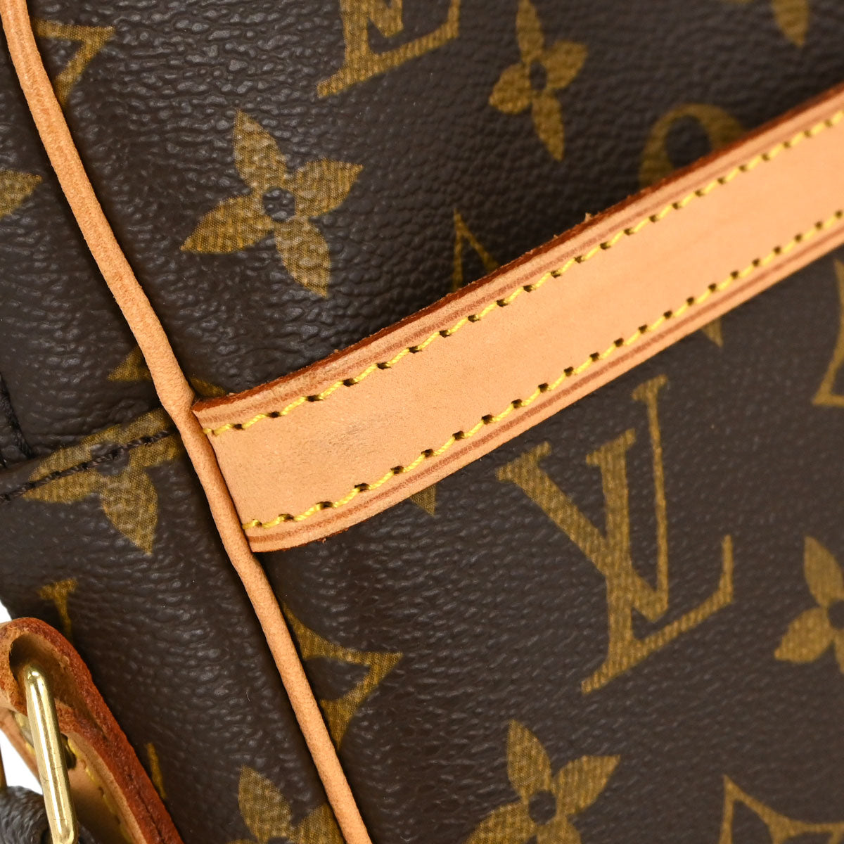 Louis Vuitton Monogram Danube Crossbody Bag M45266