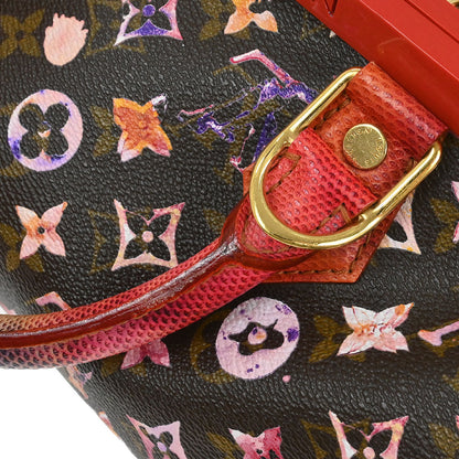 Louis Vuitton * Monogram Watercolor Papillon Frame Handbag M95730