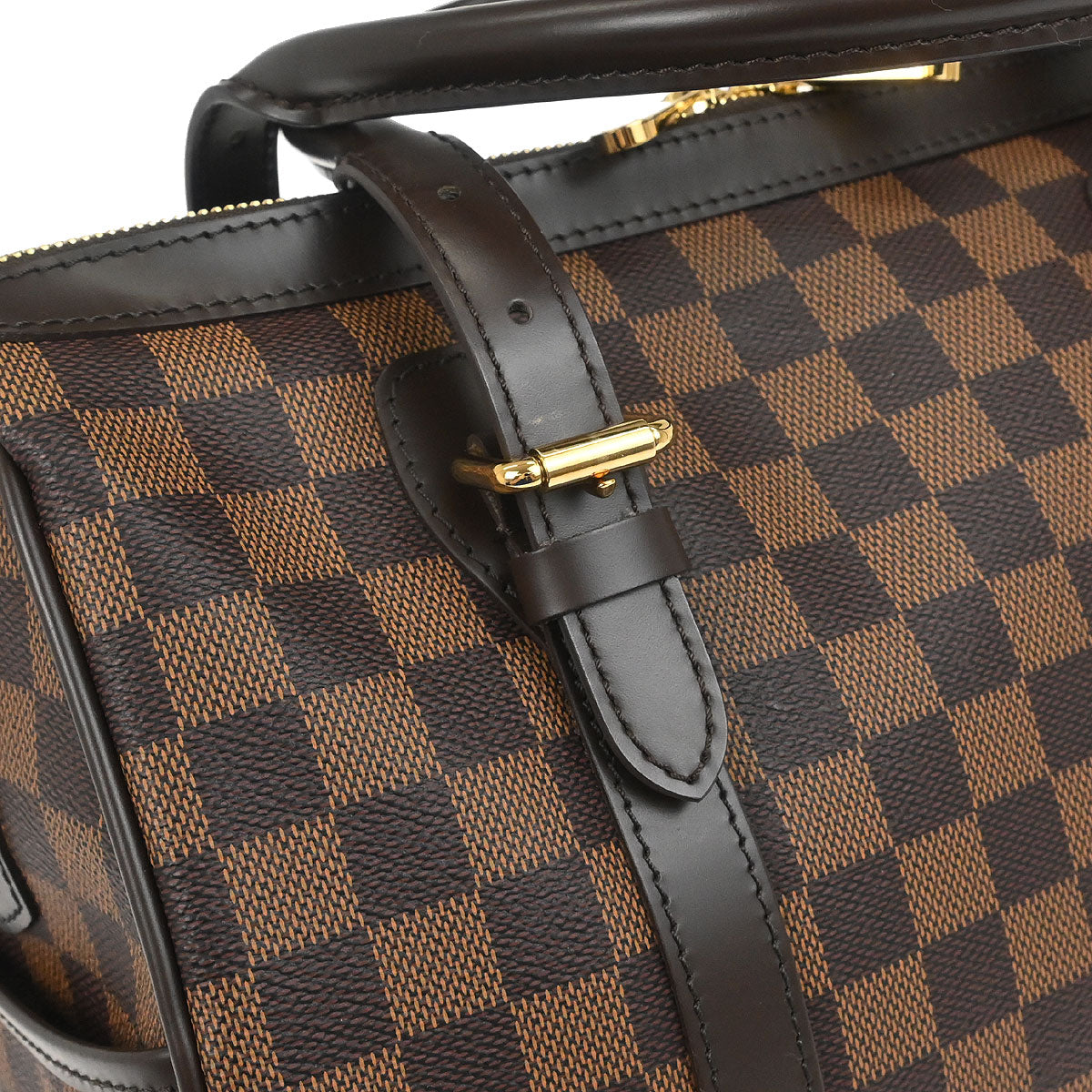 Louis Vuitton Damier Berkeley Handbag N52000