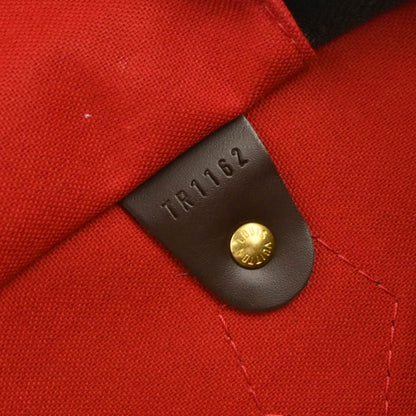 Louis Vuitton Damier Speedy 30 Handbag N41531