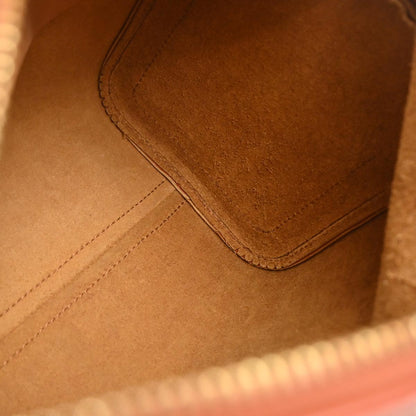 Louis Vuitton Brown Epi Speedy 25 Handbag M43013