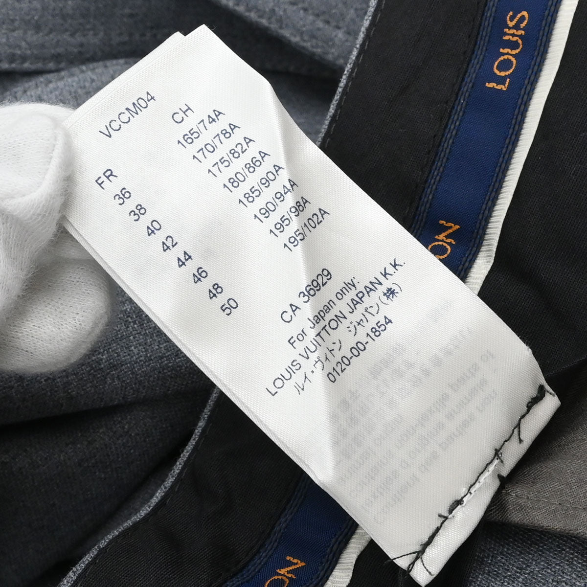 Louis Vuitton 2019 Long Pants Gray #38