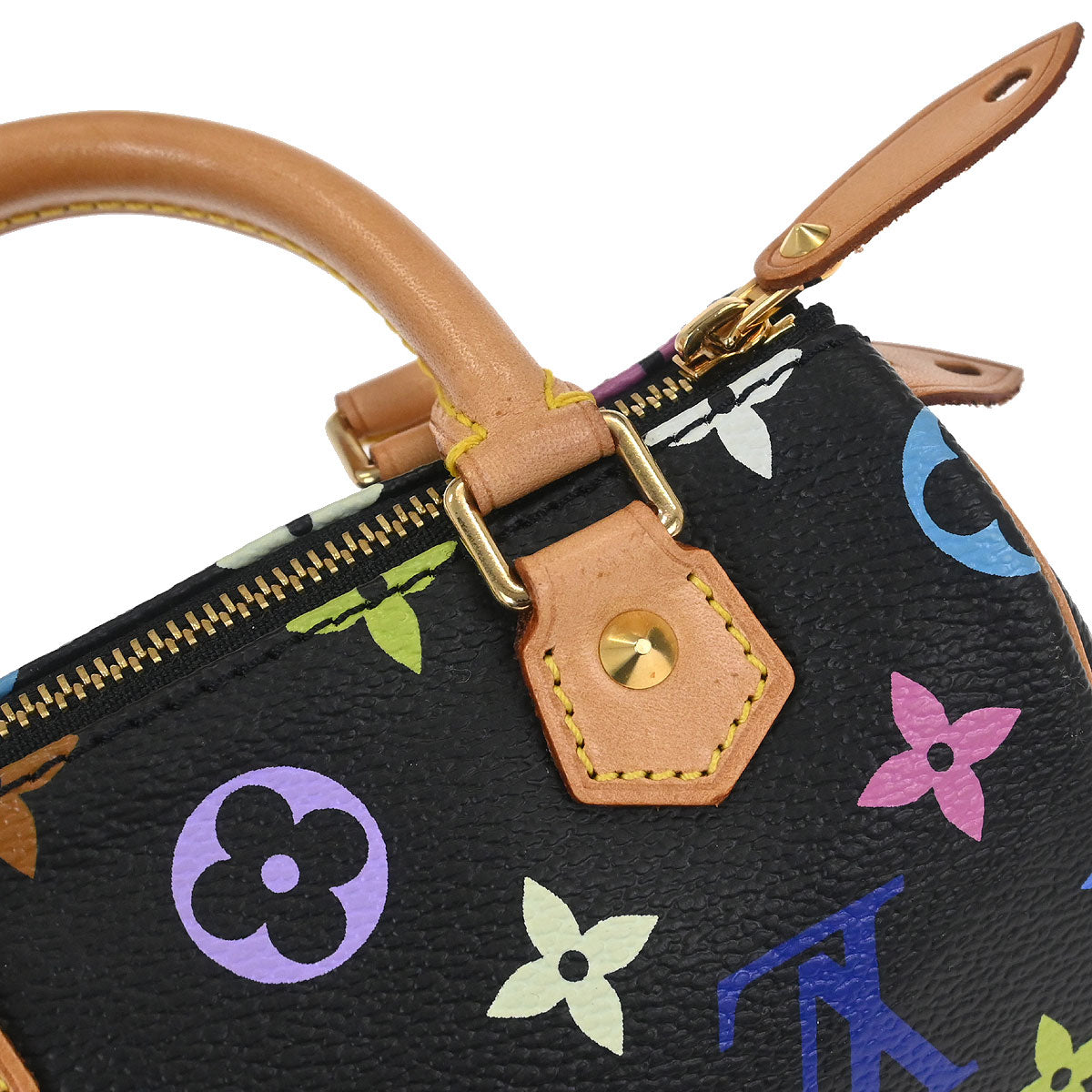 Louis Vuitton Multicolor Mini Speedy Handbag M92644