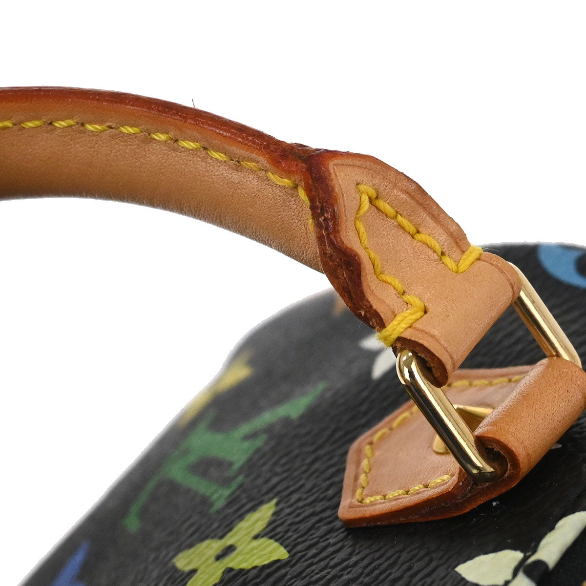 Louis Vuitton Multicolor Mini Speedy Handbag M92644