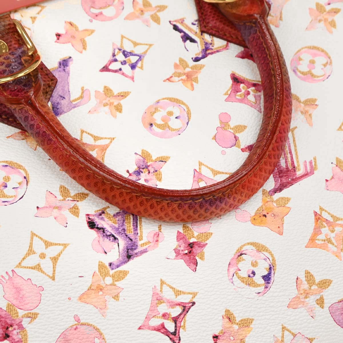 Louis Vuitton * 2008 Watercolor Karong Speedy 30 Handbag M95729