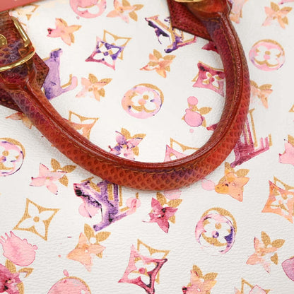 Louis Vuitton * 2008 Watercolor Karong Speedy 30 Handbag M95729
