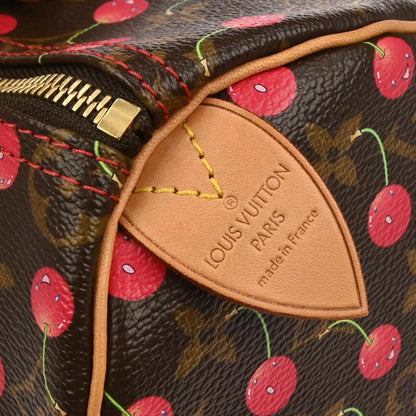Louis Vuitton Monogram Cherry Speedy 25 Handbag M95009