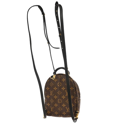 Louis Vuitton Palm Springs Mini Backpack M44873