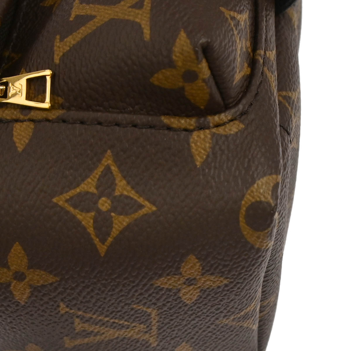 Louis Vuitton Palm Springs Mini Backpack M44873