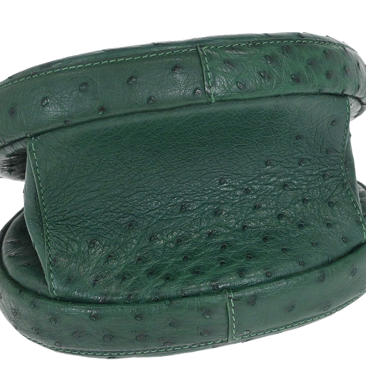 Loewe * Green Ostrich Handbag