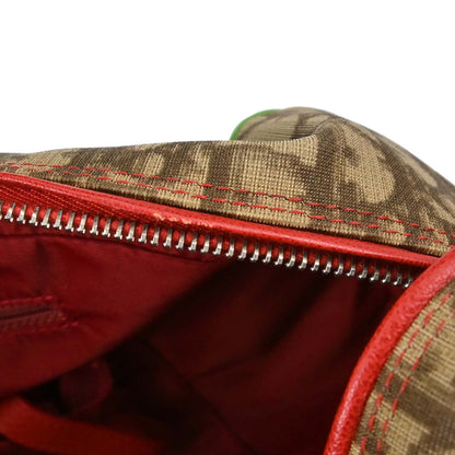 Christian Dior Rasta-Color Trotter Handbag