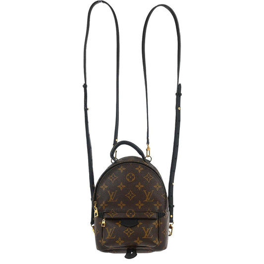 Louis Vuitton Palm Springs Mini Backpack M44873